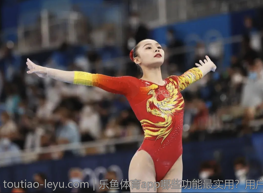 乐鱼体育app哪些功能最实用？用户大揭秘