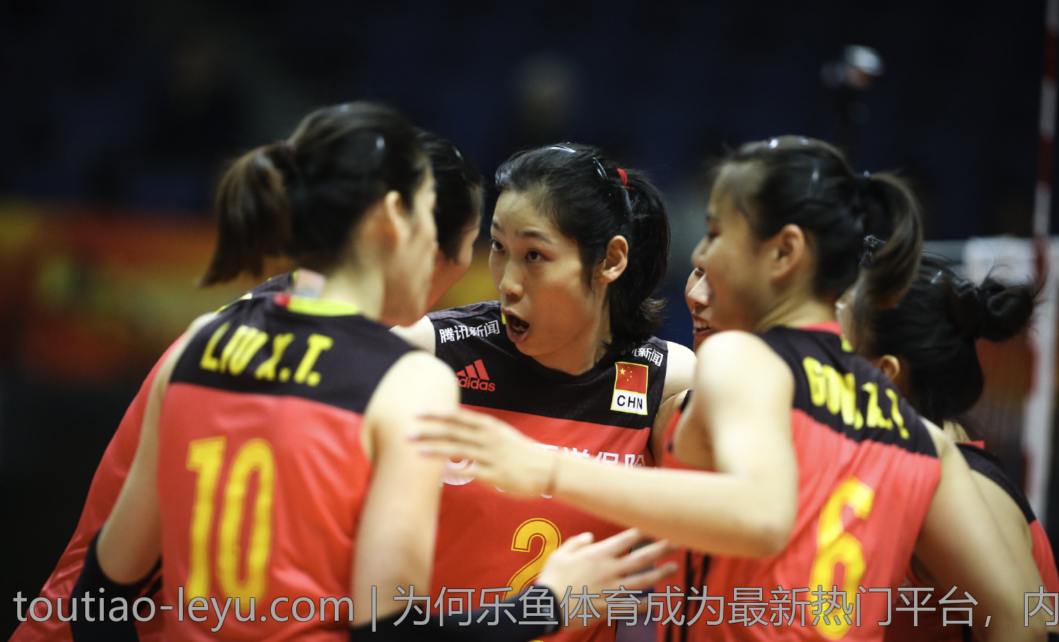 为何乐鱼体育成为最新热门平台，内幕分析