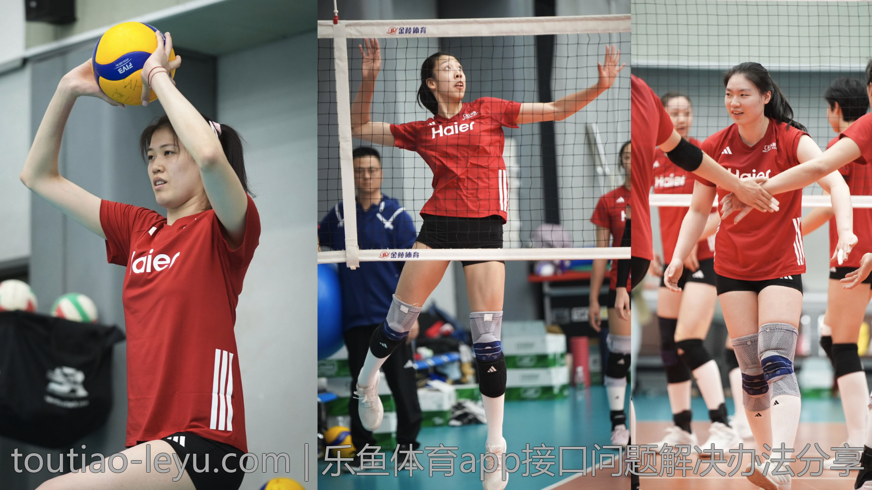 乐鱼体育app接口问题解决办法分享